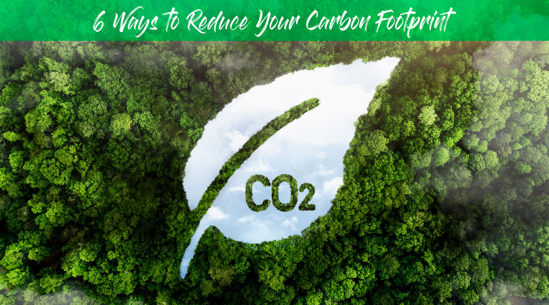 6 Ways to Reduce Your Carbon Footprint